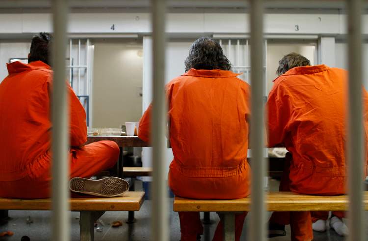 It's not clear how many immigration detainees jailed in Lindsay, Ont. are still on a hunger strike, activists say. 