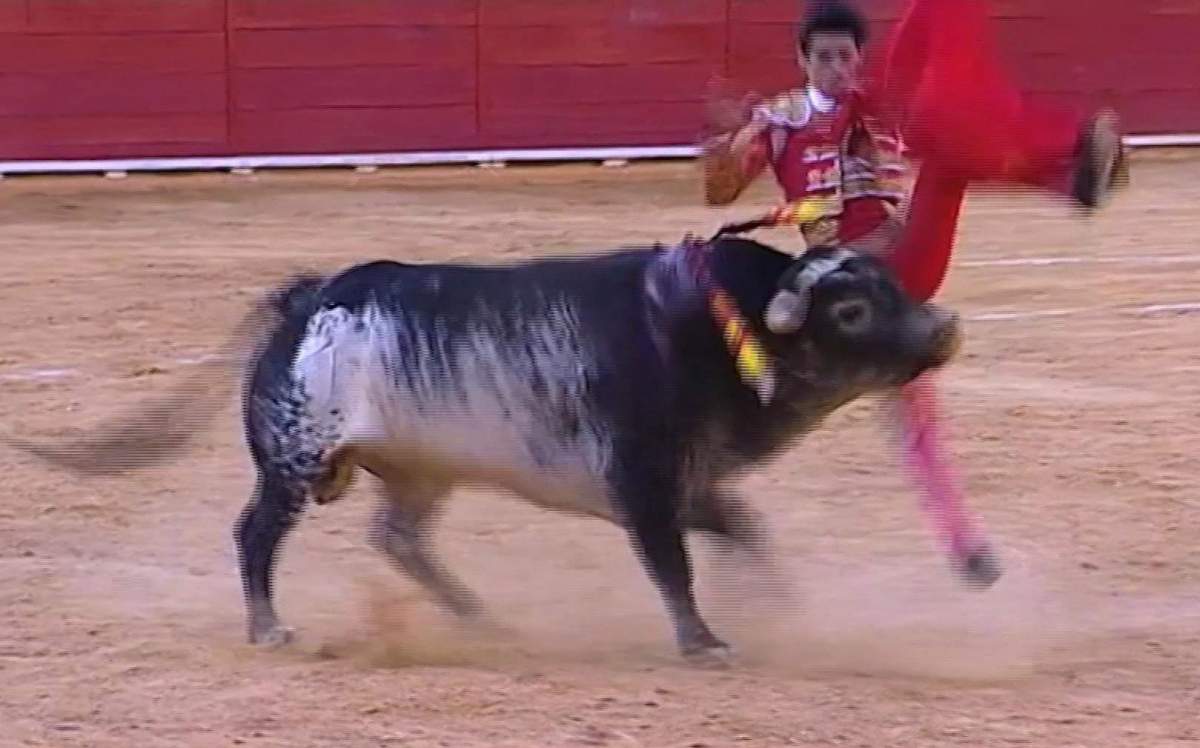 This framegrab taken from Castilla La Mancha TV shows matador Victor Barrio being thrown by a bull during a bullfight in the Teruel bullring, east of Spain, Saturday July 9, 2016. Victor Barrio, 29, was fatally gored, the first professional matador to be killed in the ring in more than three decades. Barrio was pronounced dead late Saturday by a surgeon at the Teruel bullring. ()