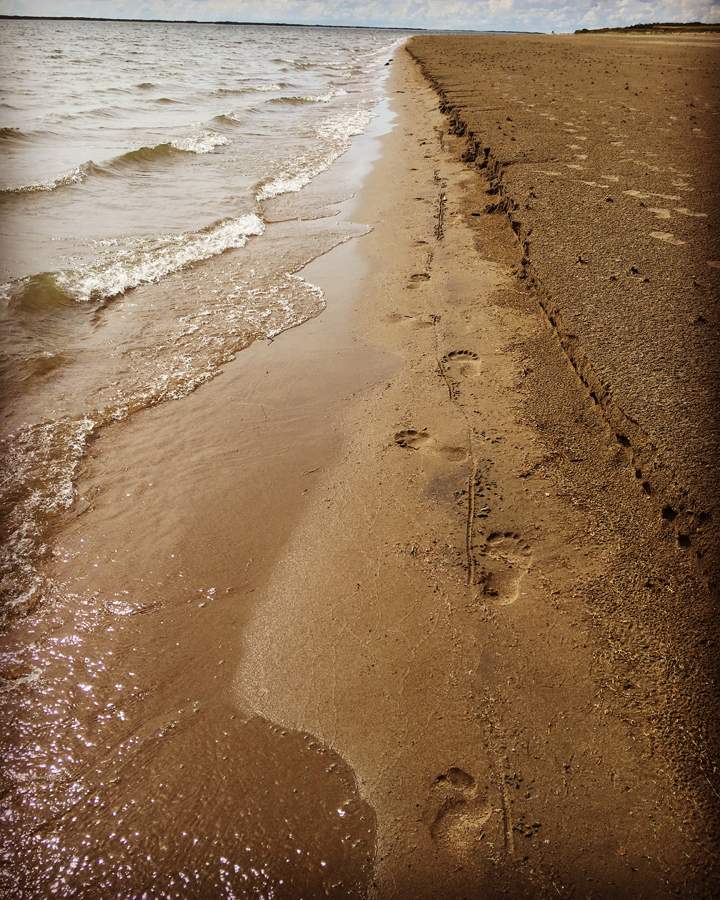 July 14: This Your Saskatchewan photo was snapped by Kirsten Morin at Elbow.