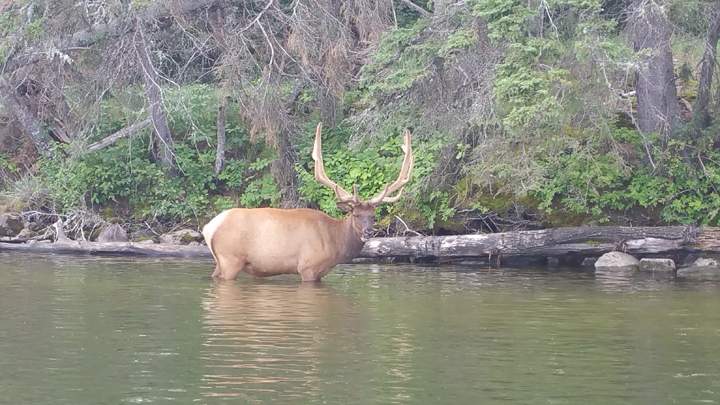 July 21: This Your Saskatchewan photo was taken by Patricia Warlet Caldeira at Waskesiu Lake.