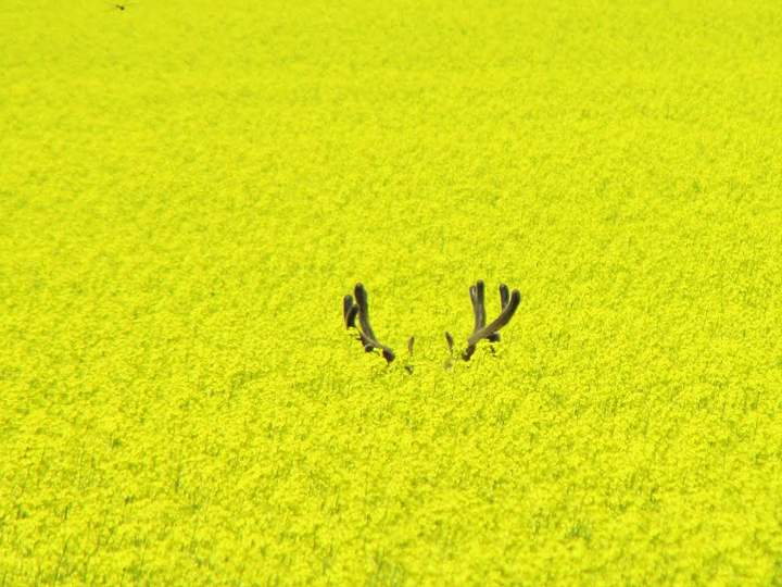 July 22: Lucas Winiewski took this Your Saskatchewan photo near Moose Jaw.