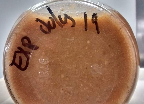 Recalled mushroom soup from Verano Food Purveyors.