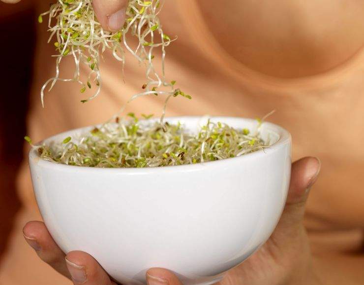 What foods pregnant women should eat – and what they should avoid - image