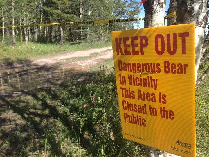 Bear area