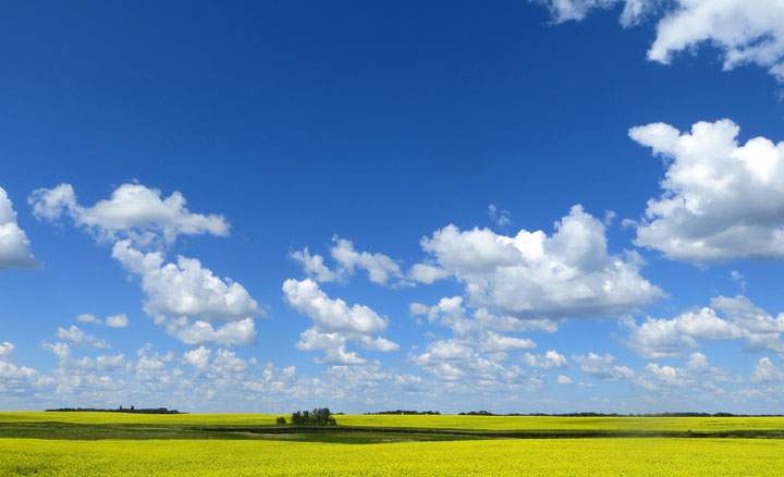 July 18: This Your Saskatchewan photo was taken by Carol Langenberger at Blaine Lake.