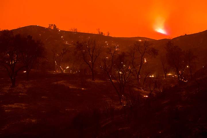 A scorch forest smolders in Placerita Canyon at the Sand Fire on July 24, 2016 in Santa Clarita, California.