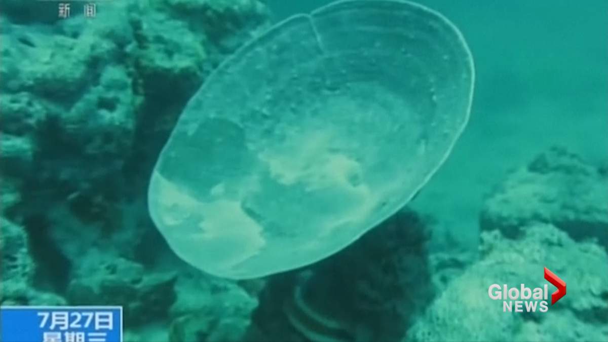 World’s deepest underwater sinkhole discovered in South China Sea - image