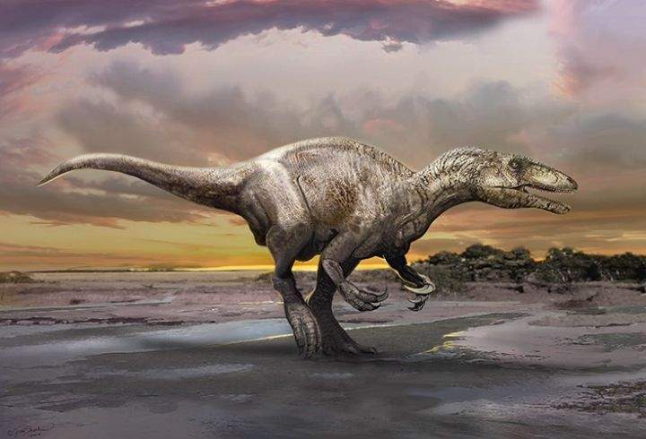 Illustration of Murusraptor barrosaensis by Jan Sovak.