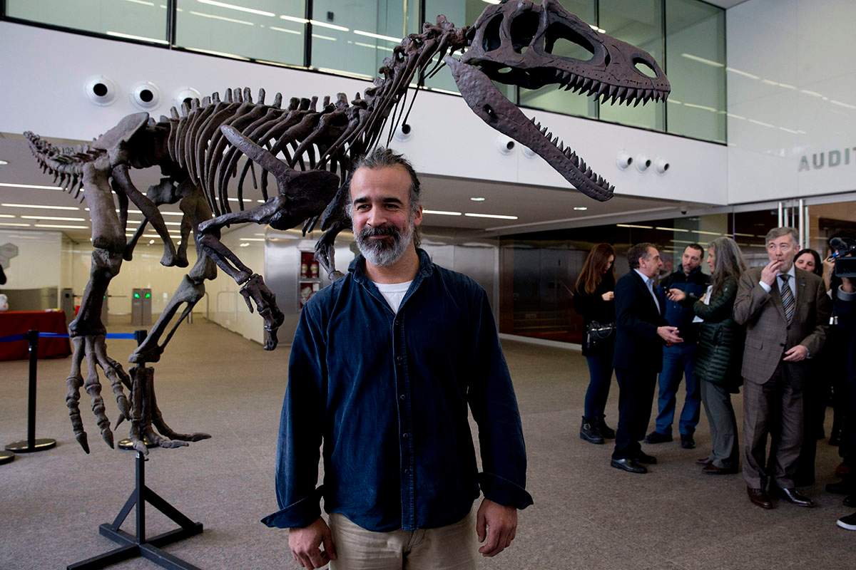 Argentine paleontologist Sebastian Apesteguia poses beside what he says is a replica of newly-discovered carnivorous dinosaur that lived in Argentina about 90 million discovered in Argentina's Patagonia in Buenos Aires, Argentina, Wednesday, July 13, 2016. 