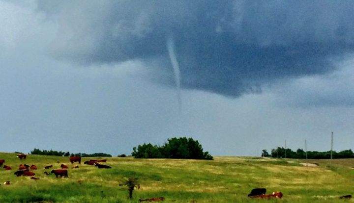 Tornado touched down near Endiang, Alta.: Environment Canada - image