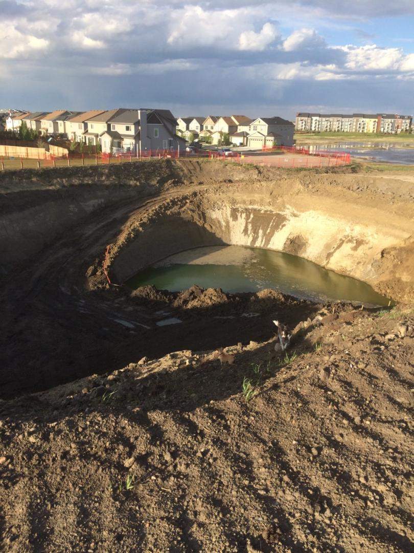 ‘Just mud and bad smell’: Alberta residents concerned about disappearing wetland - image