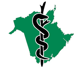 Moncton doctor fired for checking medical files of young women - image