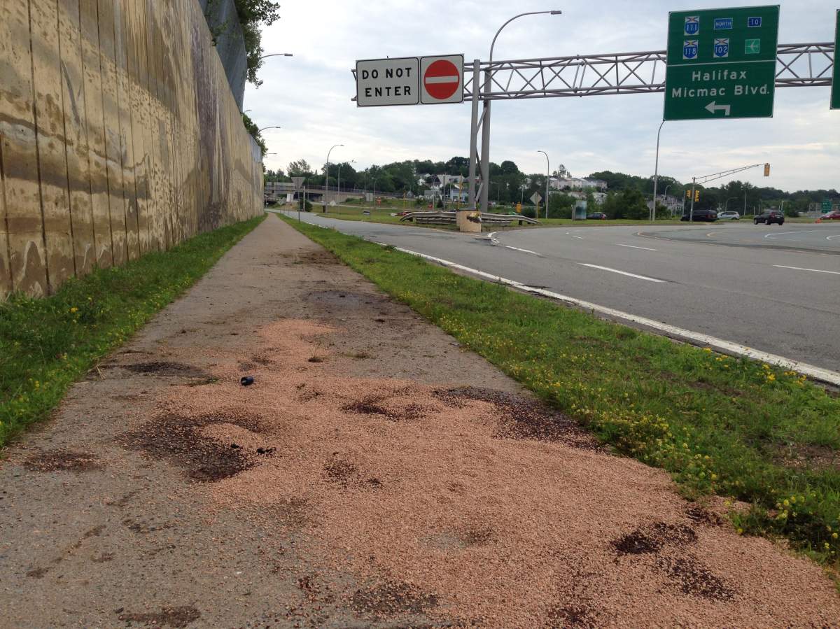 A 20-year-old man crashed his motorcycle while trying to evade police in Dartmouth, NS.