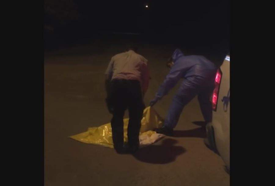 Two RCMP officers work to free a skunk on June 22. 