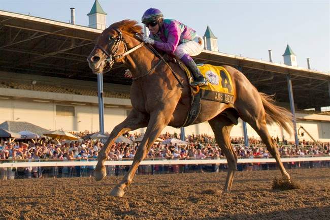 Jockey Luis Contreras guides Amis Gizmo to victory in the $500,000 dollar Prince of Wales Stakes at Fort Erie Racetrack in Fort Erie, Ont. on Tuesday, July 26, 2016.