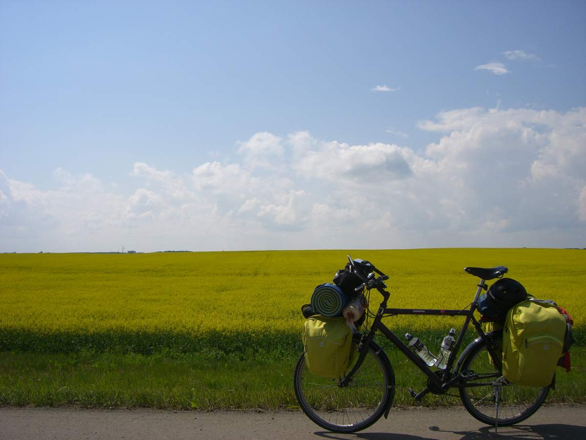 A picture of Ledingham’s bike in front of a canola field in Saskatchewan