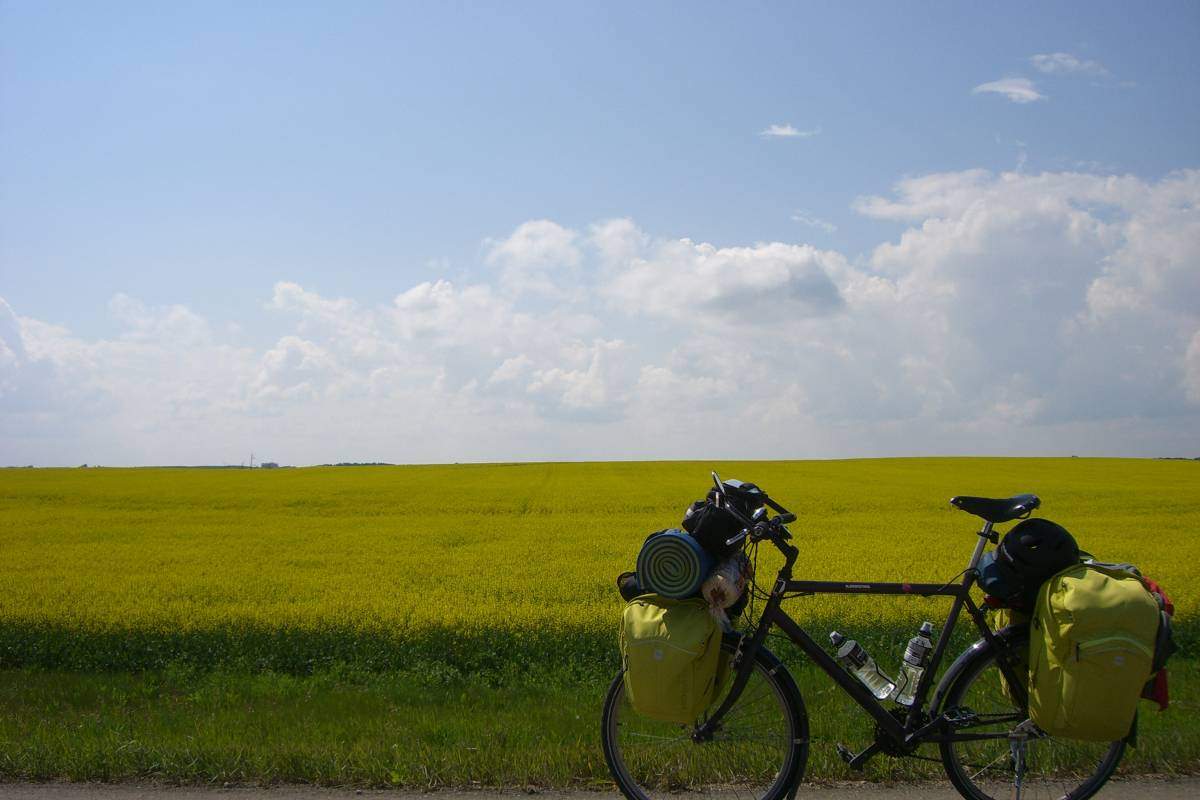 A picture of Ledingham’s bike in front of a canola field in Saskatchewan