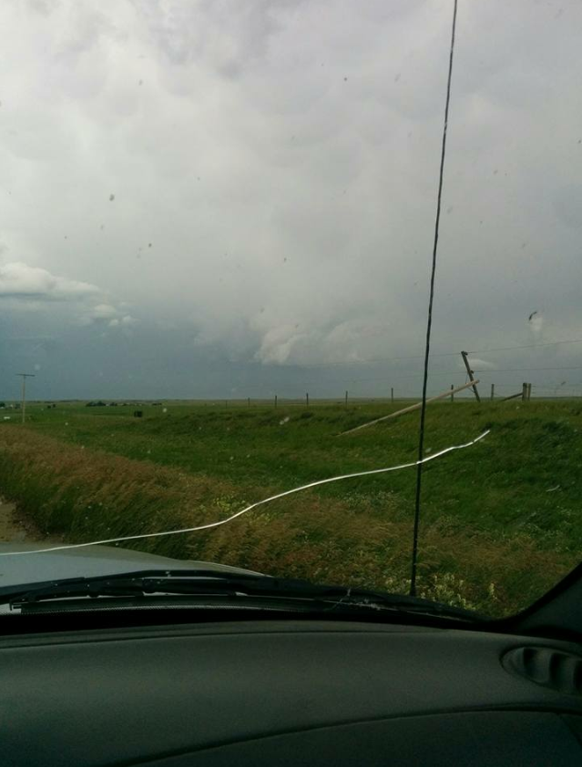 Down power lines in the Kindersley area.