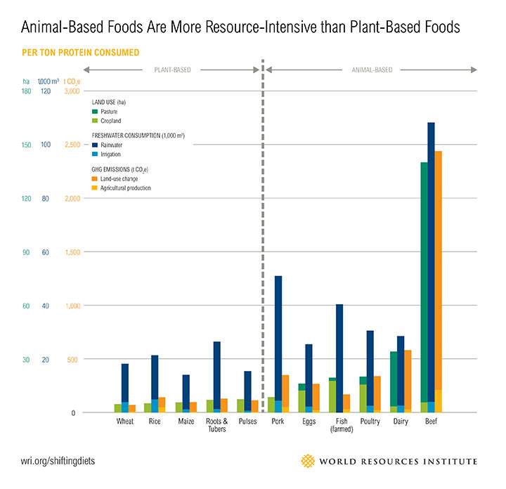 Why living ‘off the grid’ isn’t possible for most Canadians - image