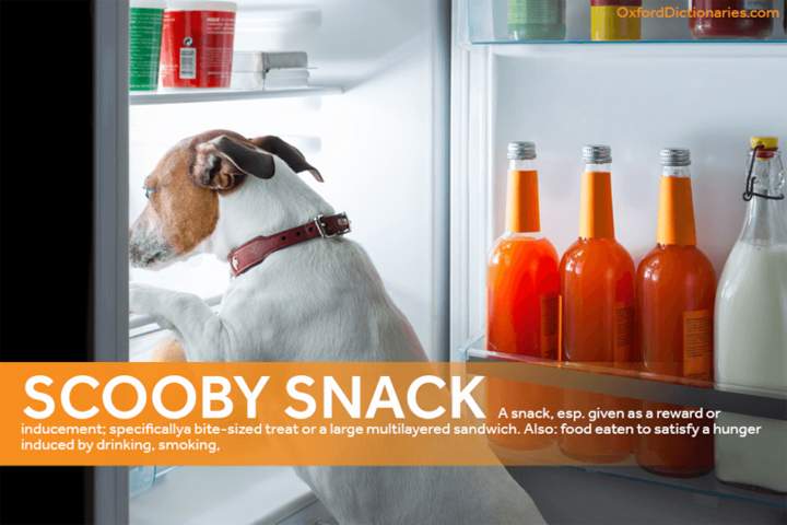 ‘ROFL’, ‘Scooby Snack’ among odd terms added to Oxford English Dictionary - image