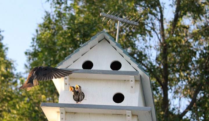 July 31: This Your Saskatchewan photo was taken by Emily Engele in Muenster.
