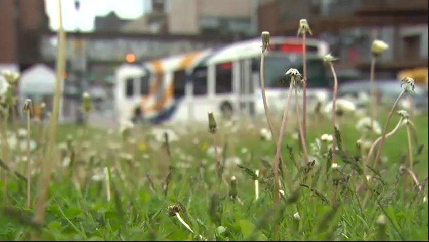The deadline for applications for the low income transit pass pilot program in Halifax has been extended.