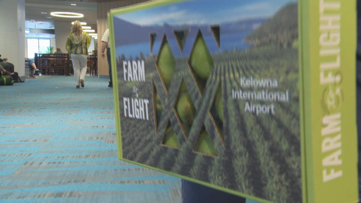 Tourists can travel home with a taste of the Okanagan in tow - image