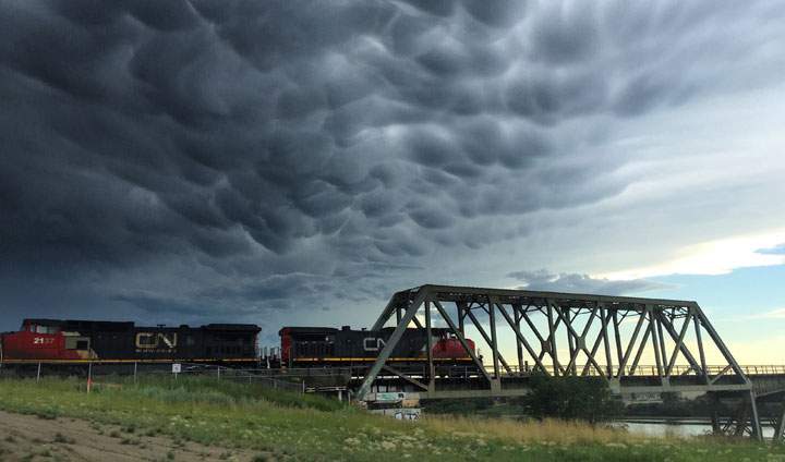 July 20: This Your Saskatchewan photo was taken by Ricky Forbes in Saskatoon.