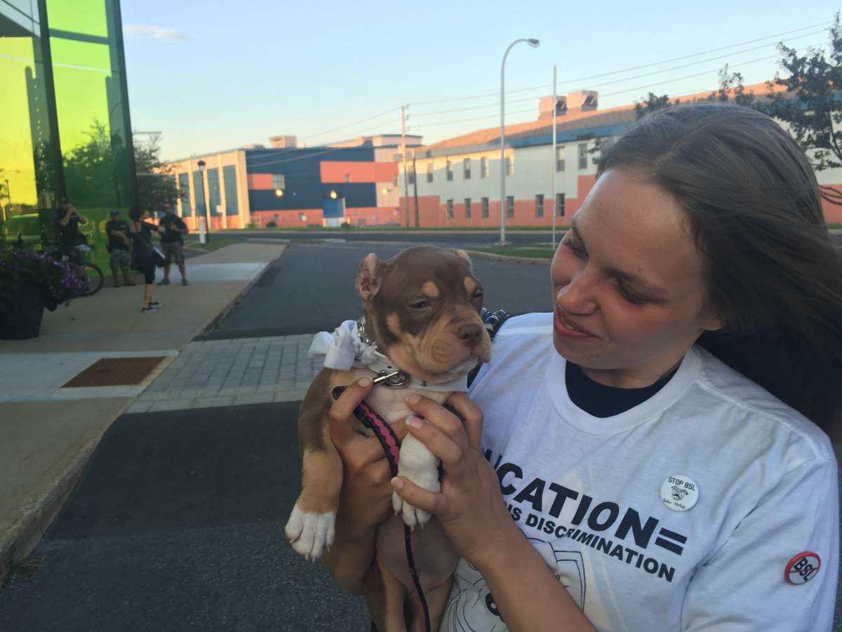 Presaeillia Shaw told Global News she drove two hours to come to the protest at Longueuil City Hall, Tuesday, Aug. 23, 2016.