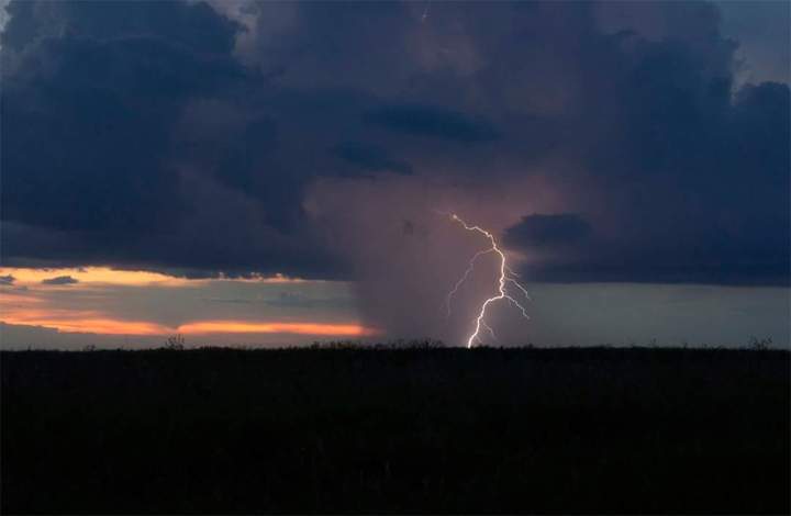 Aug. 16: Christina Hryb took this Your Saskatchewan photo in Domremy.