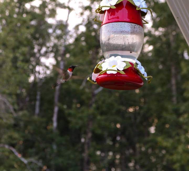 Aug. 23: Brittany Olsen took this Your Saskatchewan photo in Prince Albert.