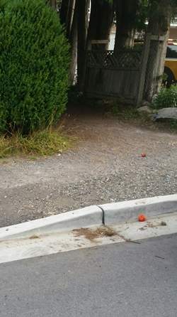 North Vancouver RCMP say this is where the incident happened.