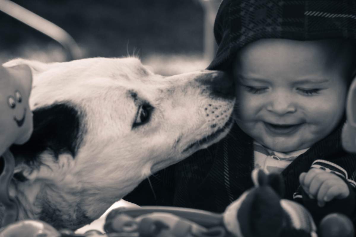 Angel with Catherine's grandson. Catherine says Angel is not just her dog, she's part of her family and is their guardian angel.