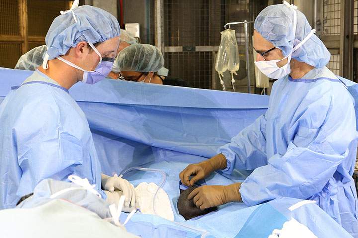 Medical staff operate on the Toronto Zoo's 44-year-old gorilla.