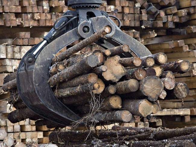 Workers pile logs at a softwood lumber sawmill in Saguenay, Que., on Nov. 14, 2008.
