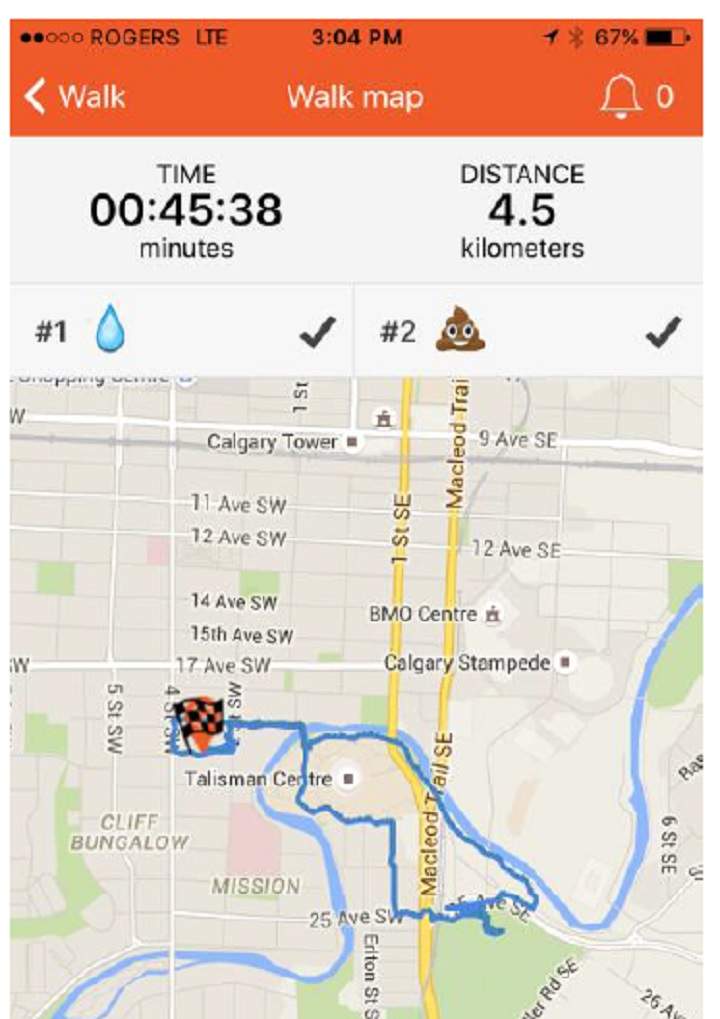 Dog walking app screenshot
