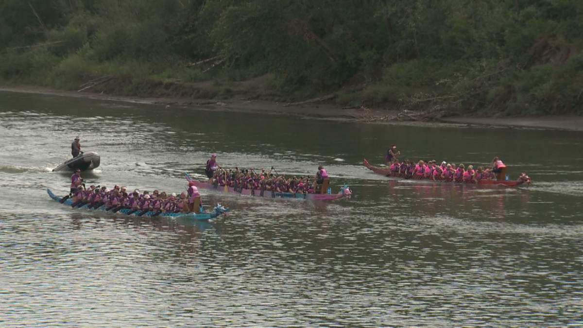 Dozens of women participate in the Pink Ribbon Challenge Race.