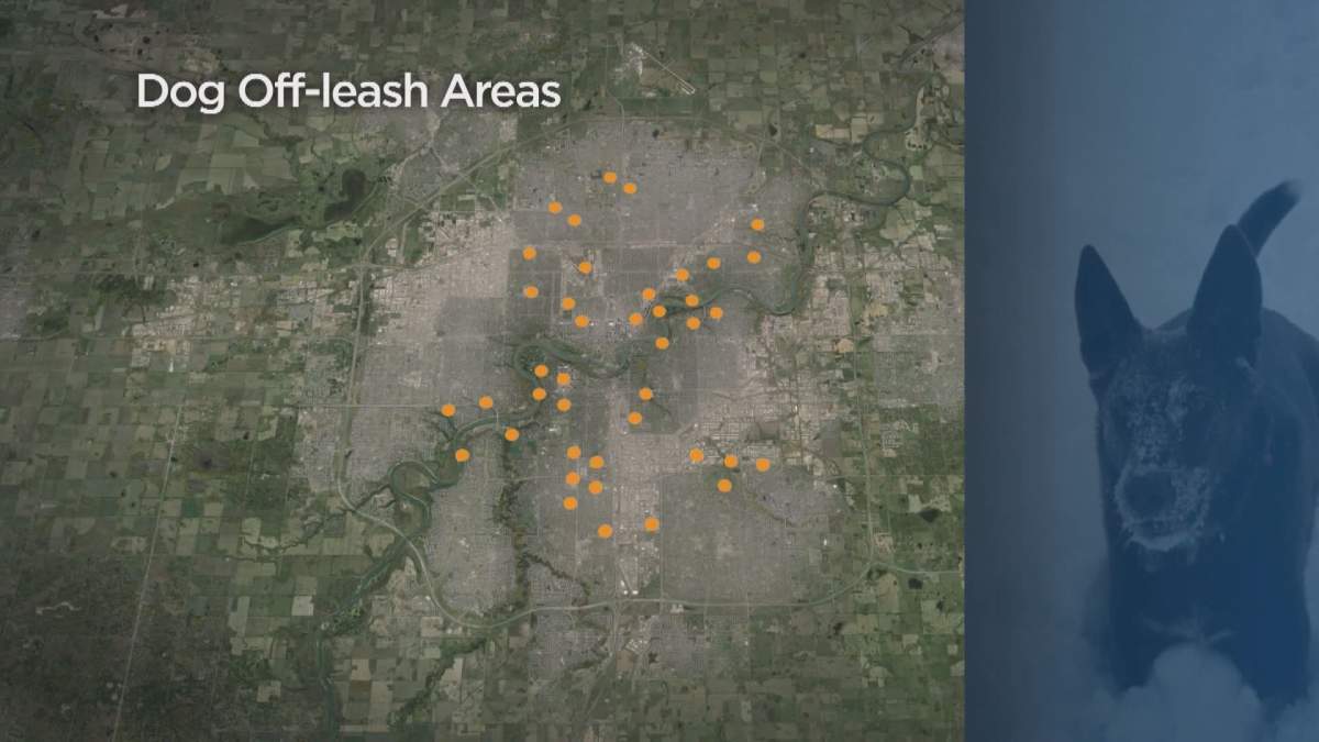 City recommends changes to Grand Trunk dog park, but won’t cover fence - image