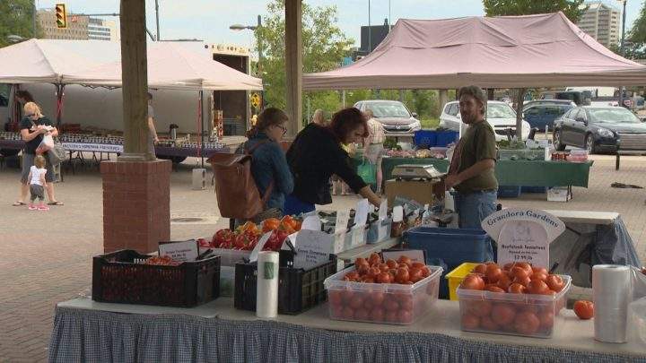 Popularity of Saskatoon Farmers’ Market creating growing pains - image