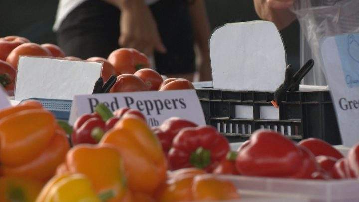 Popularity of Saskatoon Farmers’ Market creating growing pains - image
