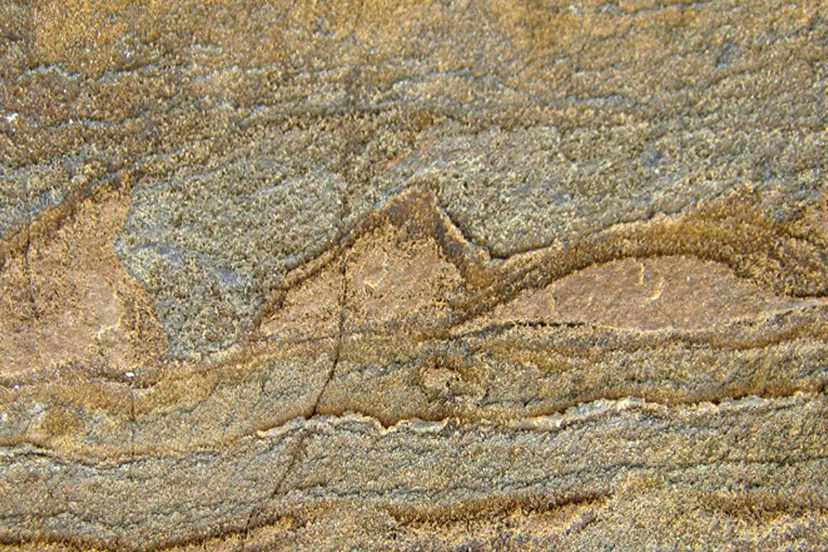 In this photo provided by Allen Nutman, a rock with the stromatolites, tiny layered structures from 3.7 billion years ago that are remnants from a community of microbes that used to be live there. 