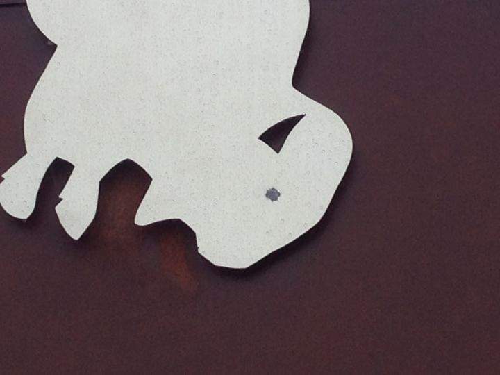 RCMP said a suspect shot holes where there would be eyes in the buffaloes.
