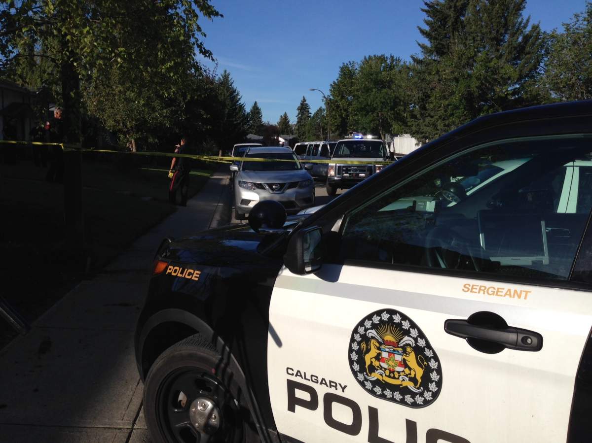 Calgary police searching for suspect in ‘traumatic’ northeast stabbing - image