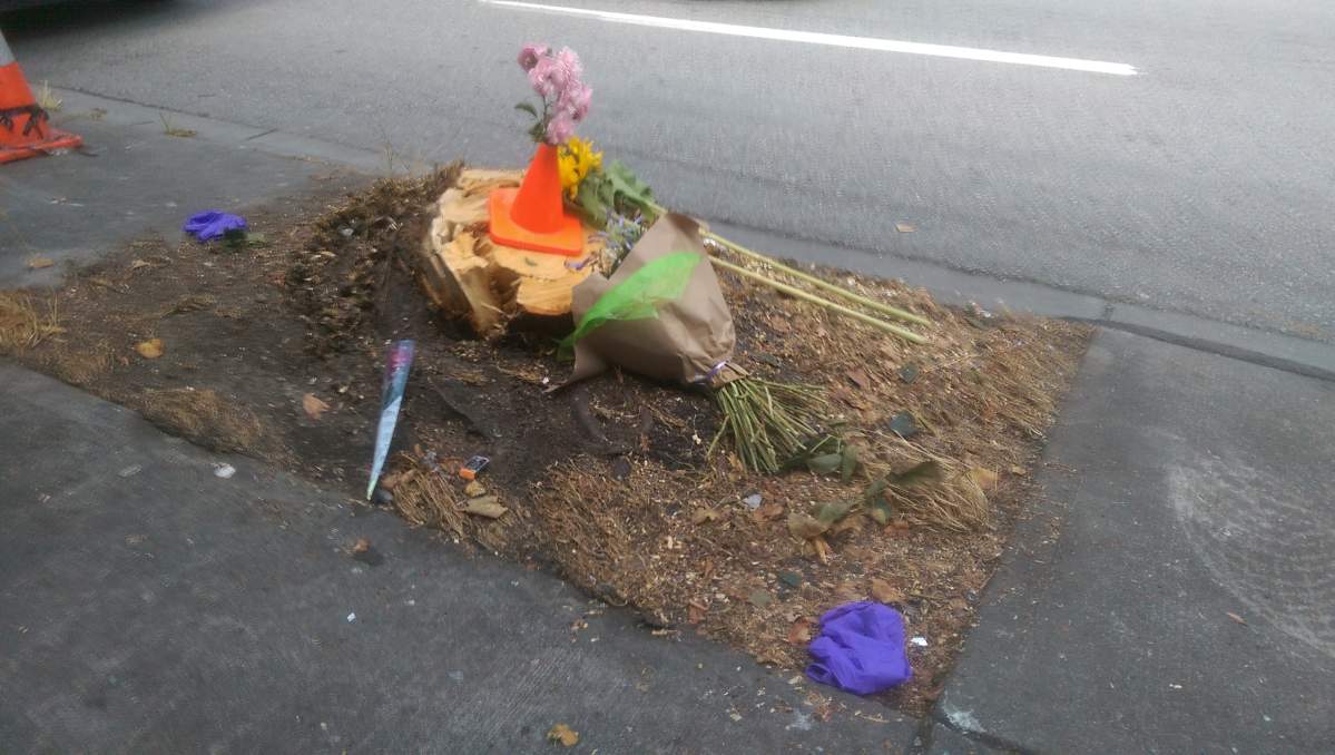 Granville Bridge ‘problematic for speed’ says VPD after deadly crash - image