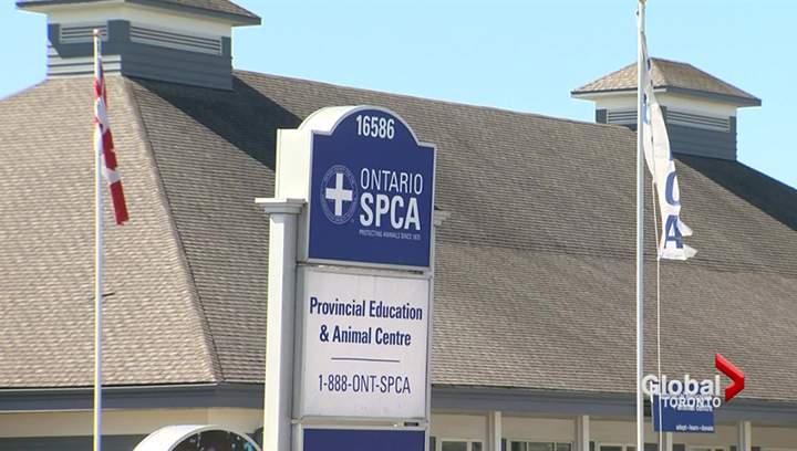 Ontario SPCA.