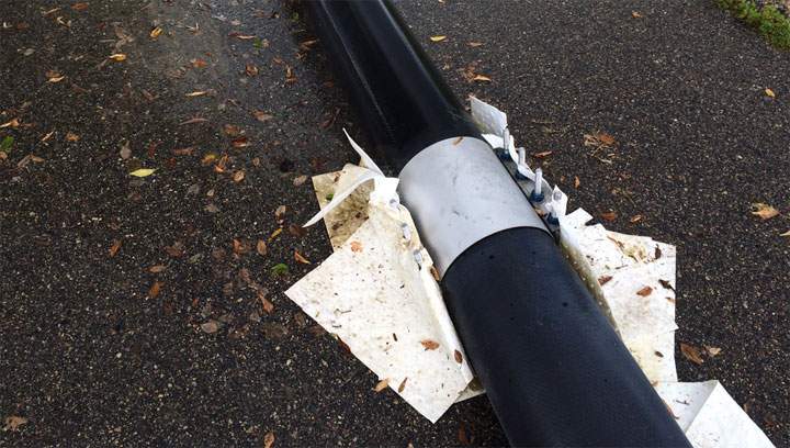 Two leaks in a temporary pipeline supplying water to Prince Albert, Sask., following the Husky oil spill may have been caused by vandals.