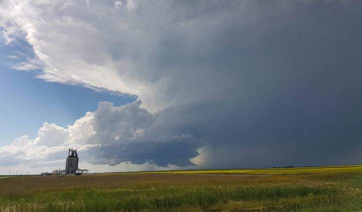 Aug. 27: This Your Saskatchewan photo was taken by Clint Janzen Near Harris.