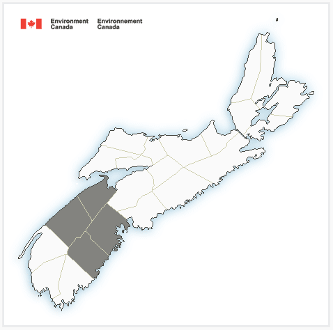 ‘Extremely challenging’ Nova Scotia wildfire spreads to 240 hectares - image