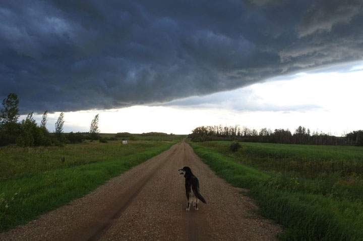 Aug. 28: This Your Saskatchewan photo was taken by Diane Kacher near Aberdeen.