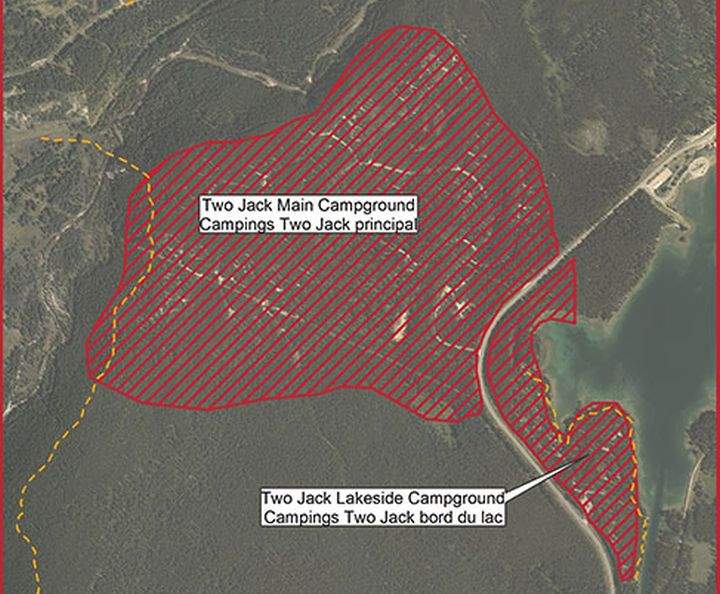 ‘Bold’ wolf spurs tent camping ban in parts of Banff National Park - image